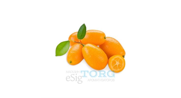 Ароматизатор My Flavor Kumquat